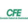 COMISION FEDERAL DE ELECTRICIDAD.jpg